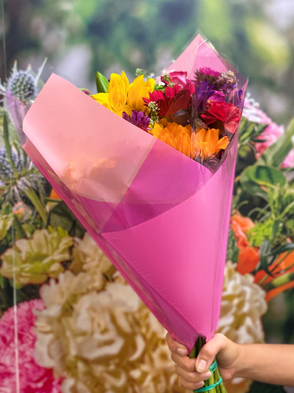 Candy Prefold - Image 10